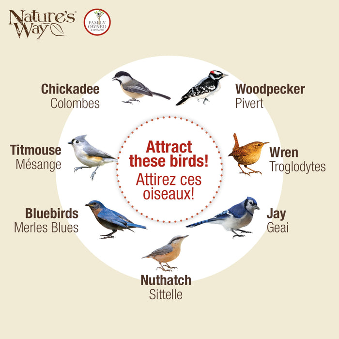 TAIL PROP SUET FEEDER