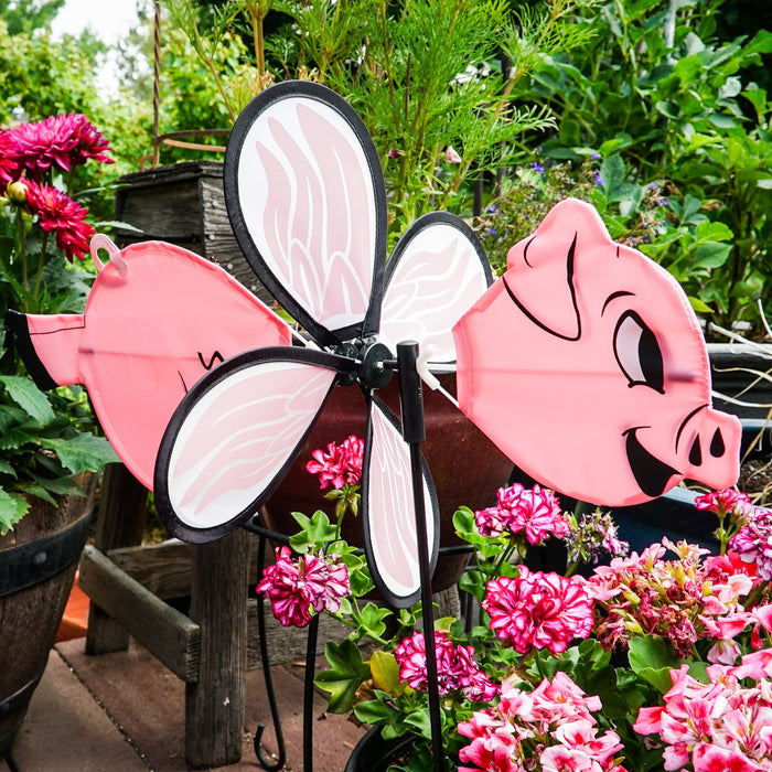 Baby Pig Spinner