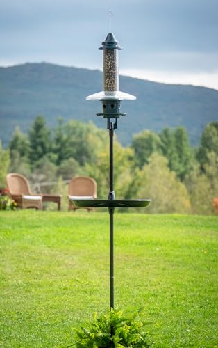 Brome 1108-V01 Single Pole kit, Black