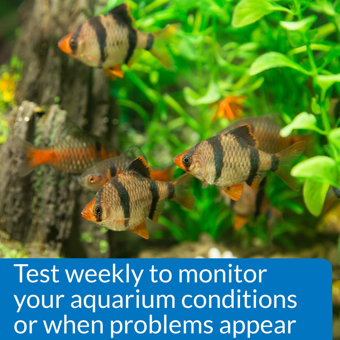 API PHOSPHATE TEST KIT FOR FRESH & SALTWATER