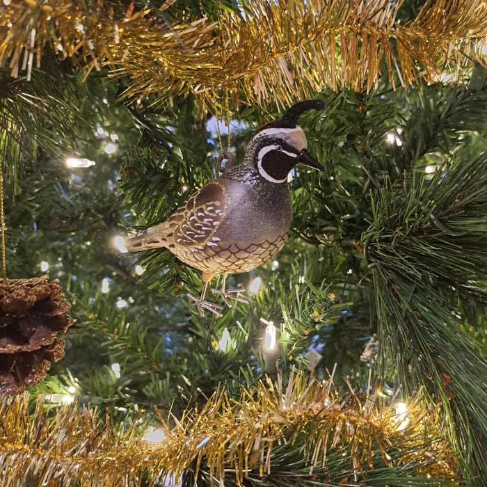 Cobane Studio  California Quail Ornament