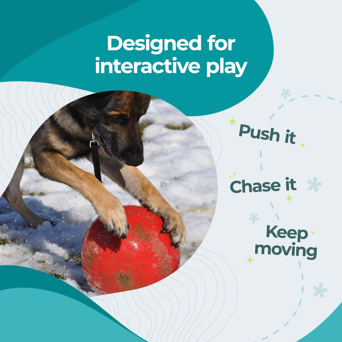 JOLLY PETS PUSH-N-PLAY BALL