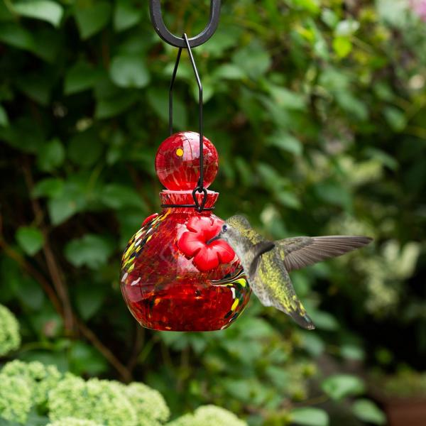 LunaLite  Globe Hummingbird Feeder - Red