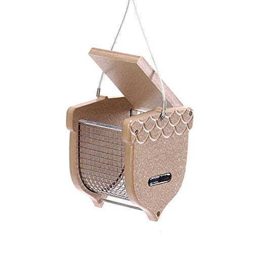 Birds Choice ACORN Peanut Feeder, Acord-Shaped Bird Feeder, 1 Quart, Taupe