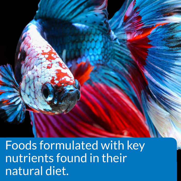 API BETTA PELLET FOOD