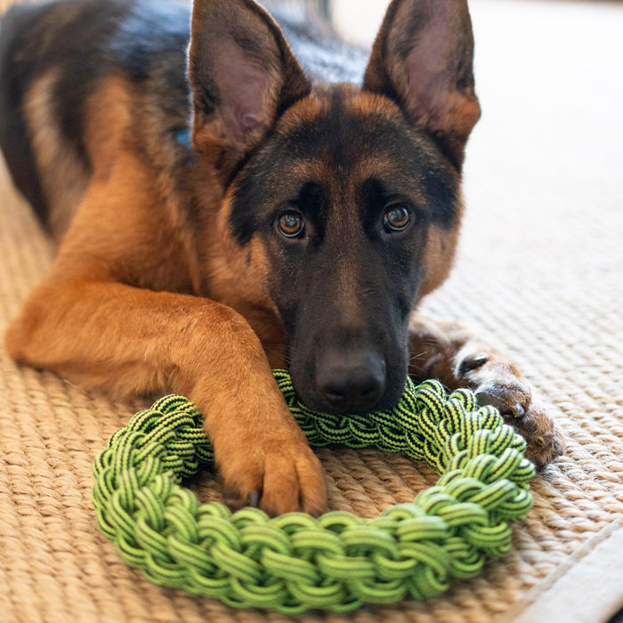 JOLLY PETS KNOT N CHEW TIK TAK TUGZZ O