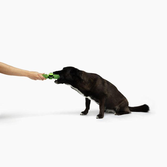 JOLLY PETS KNOT N CHEW TIK TAK TUGZZ X