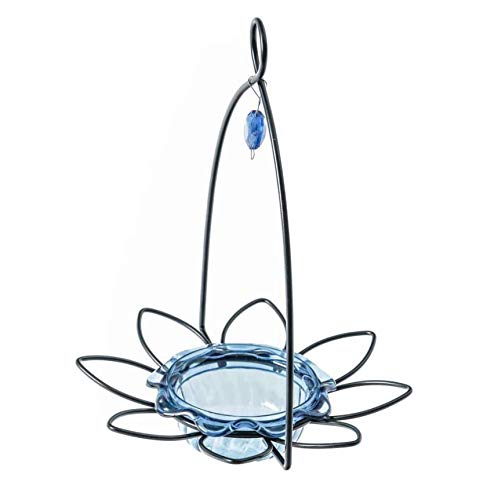 Birds Choice Bluebird Flower Decorative Blue and Black Bird Feeder