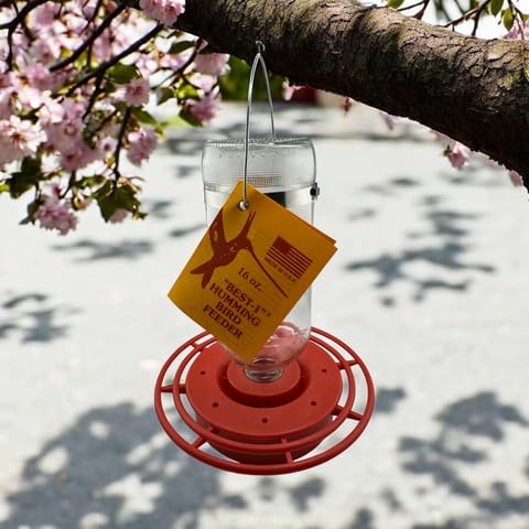 Best-1® 16oz Hummingbird Feeder