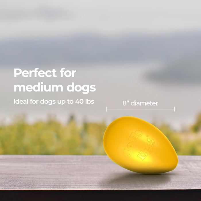 JOLLY PETS EGG