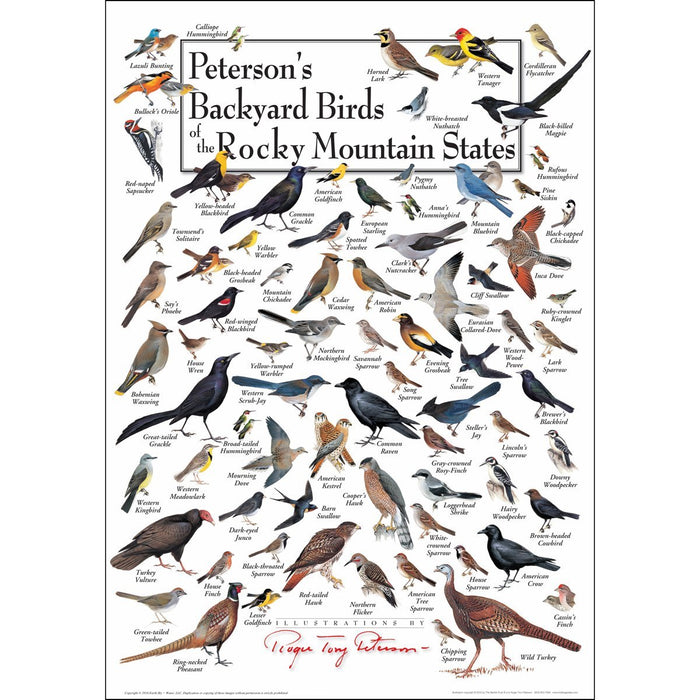 Peterson's Backyard Birds of the Rocky Mountains Poster