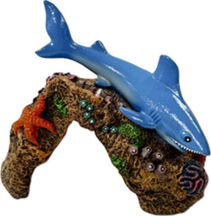 EXOTIC ENVIRONMENTS  GREAT WHITE SHARK