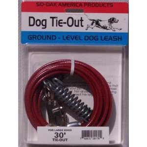 BOSS PET TIE-OUT W/ SPRING