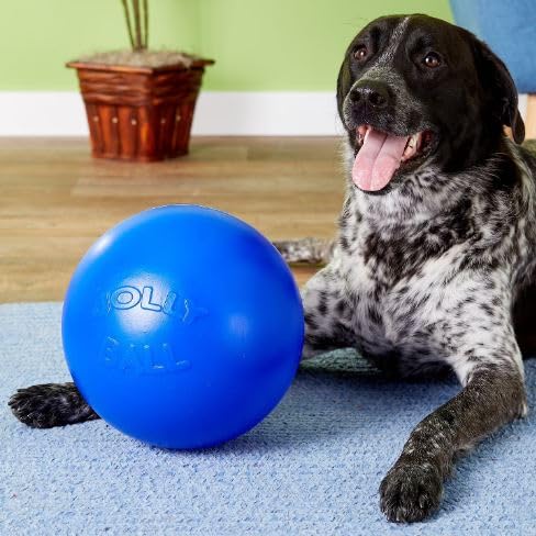 JOLLY PETS PUSH-N-PLAY BALL