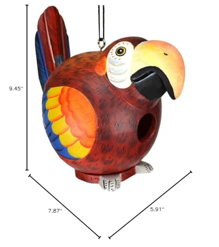 Bobbo from Songbird Essentials Red Parrot Gord-O Bird House