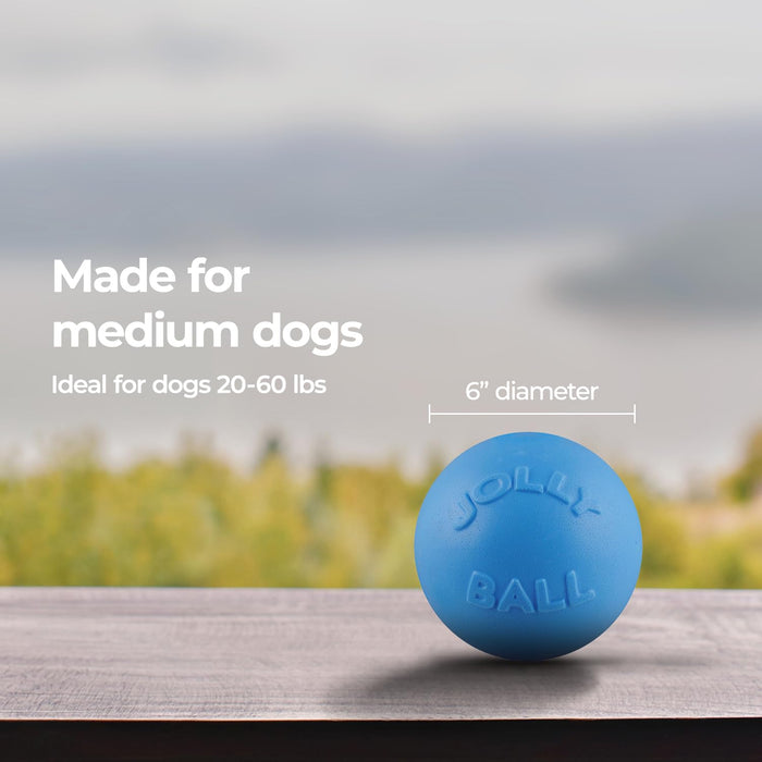 JOLLY PETS BOUNCE-N-PLAY BALL