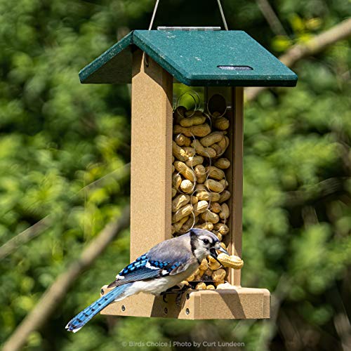 Birds Choice Jay Feeder – Erdnuss-Futterstation Mit Grünem Dach | Aus Recyceltem Poly-Holz, Für Ganze Erdnüsse