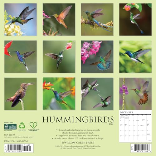 Willow Creek Press Hummingbirds 2026 Calendar