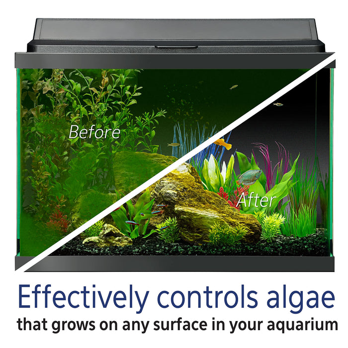 AQUEON ALGAE REMOVER