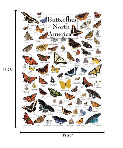 MasterPieces Puzzles Butterflies of North America 1000 Piece Puzzle