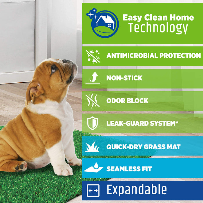 Four Paws Wee-Wee Artificial Grass Dog Training Puppy Pee Pad