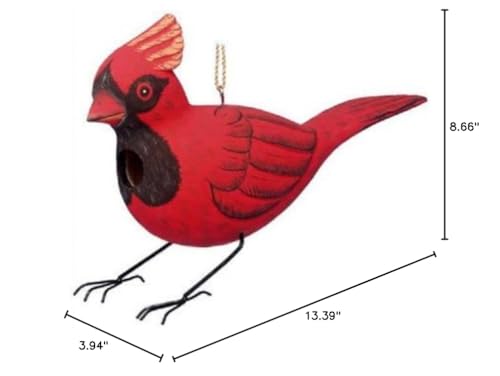 Bobbo from Songbird Essentials Cardinal  Bird House