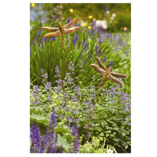 Dragonfly Duo Long Plant Stake