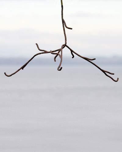 Mobile Display Hanger