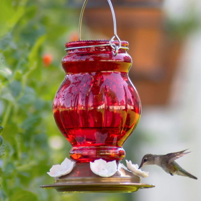 RUBY VISIONS ANTIQUE GLASS HUMMINGBIRD FEEDER