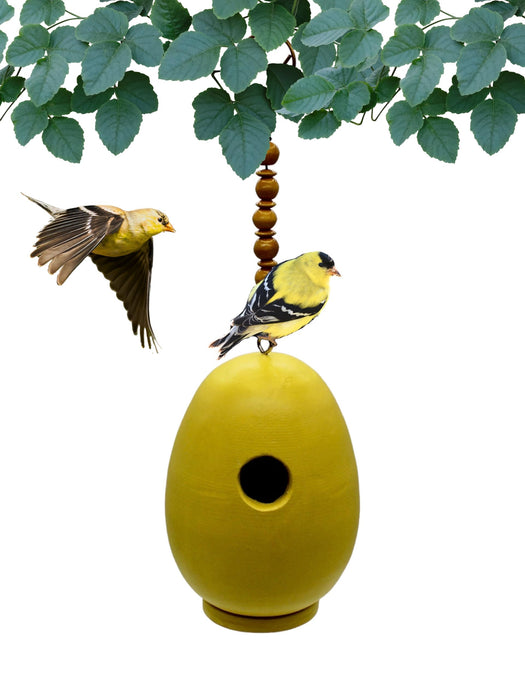 Bobbo from Songbird Essentials Yellow Egg Bird House