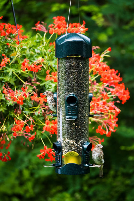 Brome Mega 600 Bird Feeder – Large Capacity Tube Feeder for Wild Birds, 6 Feeding Ports, 4 lb Seed Capacity, Easy to Clean, Metal Ports, Extendable Perches