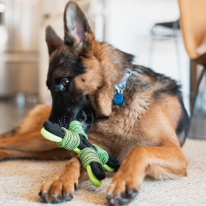 JOLLY PETS KNOT N CHEW TIK TAK TUGZZ X