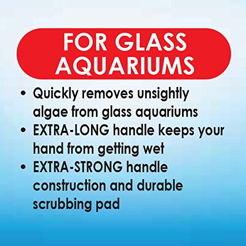 API ALGAE SCRAPER FOR GLASS AQUARIUMS