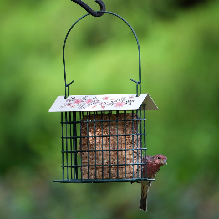 DECORATIVE METAL SUET CAGE BIRD FEEDER W/ROOF