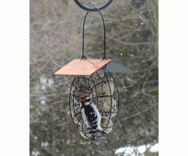 Suet Bird Feeders: Suet Ball Copper Roof Round Wire Circle Feeder