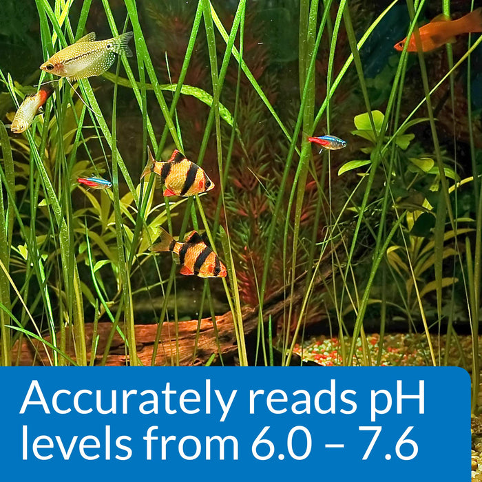 API PH TEST KIT FOR FRESHWATER