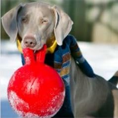 JOLLY PETS TUG-N-TOSS BALL