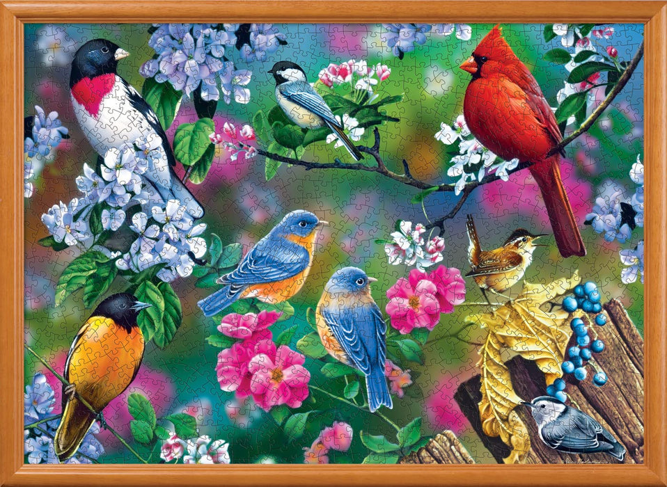 MasterPieces Puzzles Audubon Songbird Collage 1000 Piece Puzzle