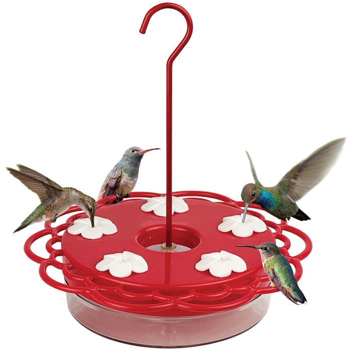 2-in-1 Plastic Dish Hummingbird Feeder 13oz