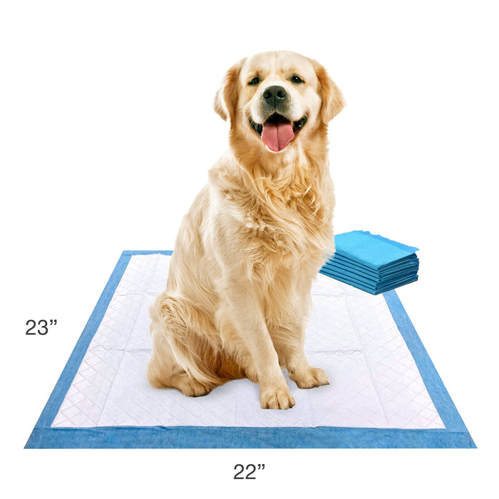 Four Paws Wee-Wee Superior Performance Dog Pee Pads, 100 Count