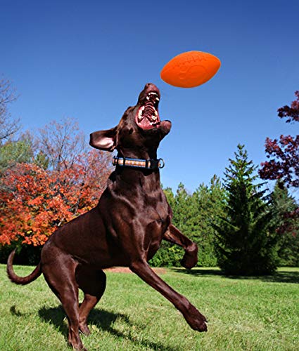 JOLLY PETS FOOTBALL