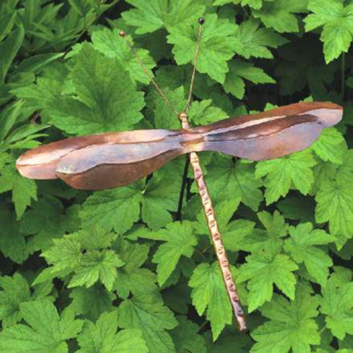 Staked (K/D) Dragonfly