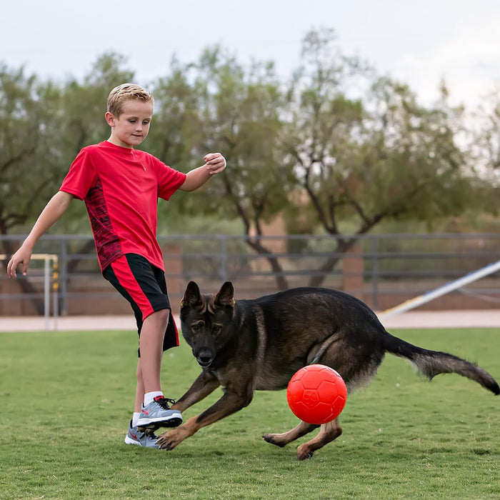 JOLLY PETS SOCCER BALL