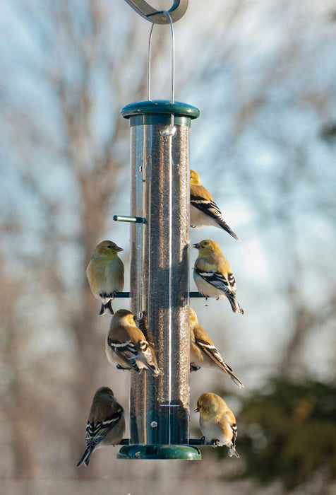Audubon 15"Green Plastic 8-Port Finch