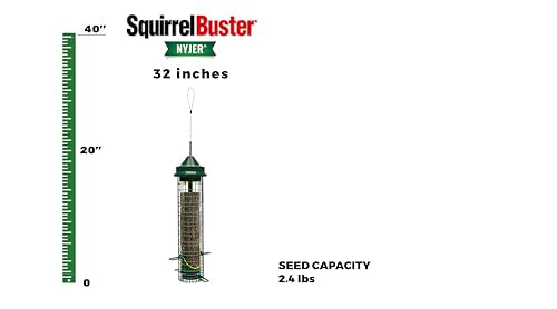 Brome Direct Squirrel Buster Proof Nyjer Bird Feeder 4 Metal Perches 1 Pound Seed Capacity