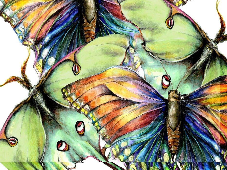 PASTEL BUTTERFLY #2 by West of the Wind | Waterproof Outdoor Wall Art