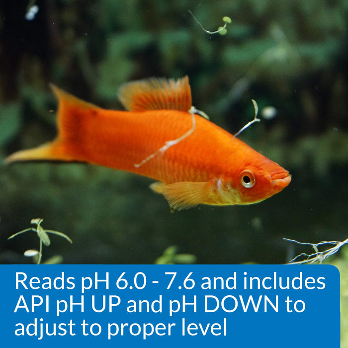 API PH TEST & ADJUSTER KIT FOR FRESHWATER