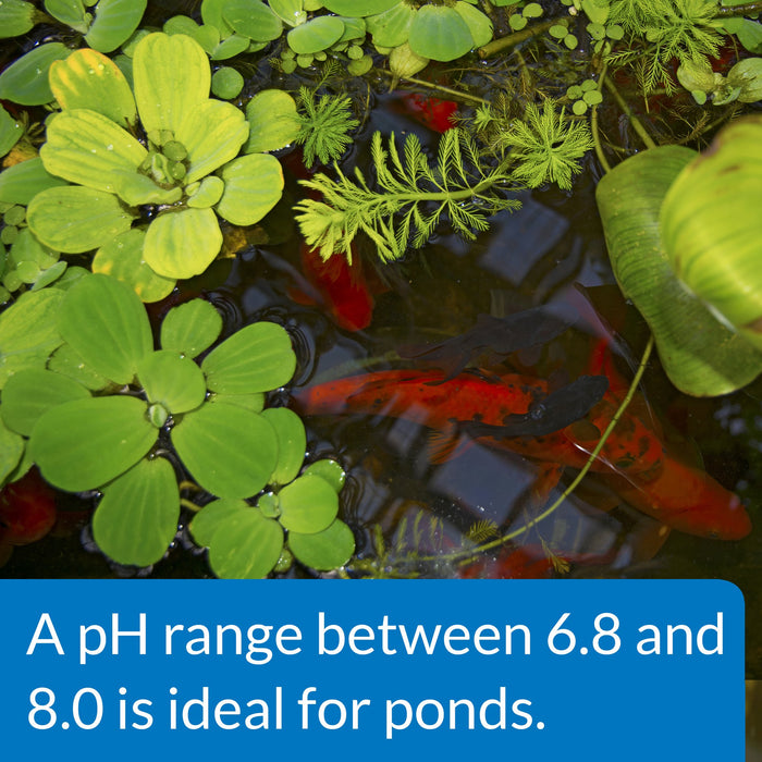 API POND PH UP