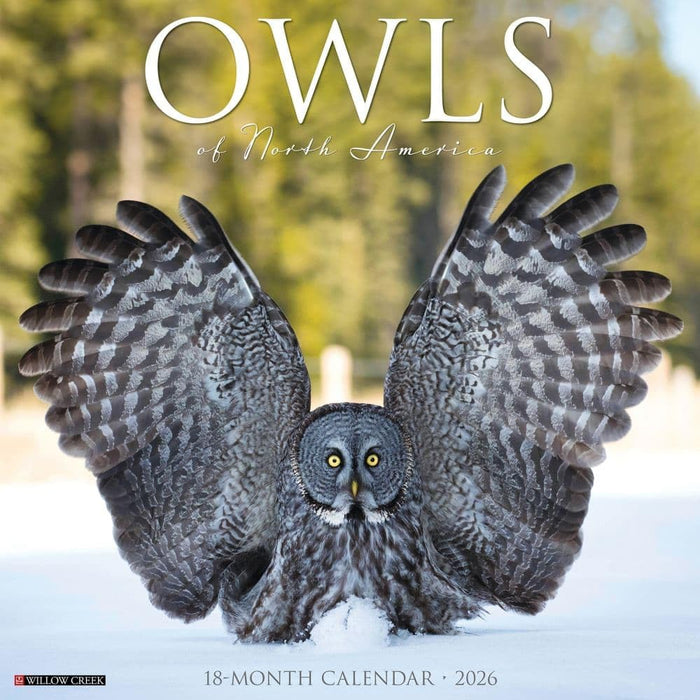 Willow Creek Press Owls 2026 Calendar