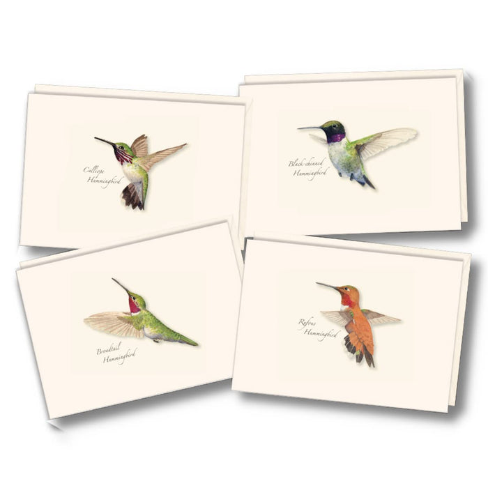 Western Hummingbird Assortment